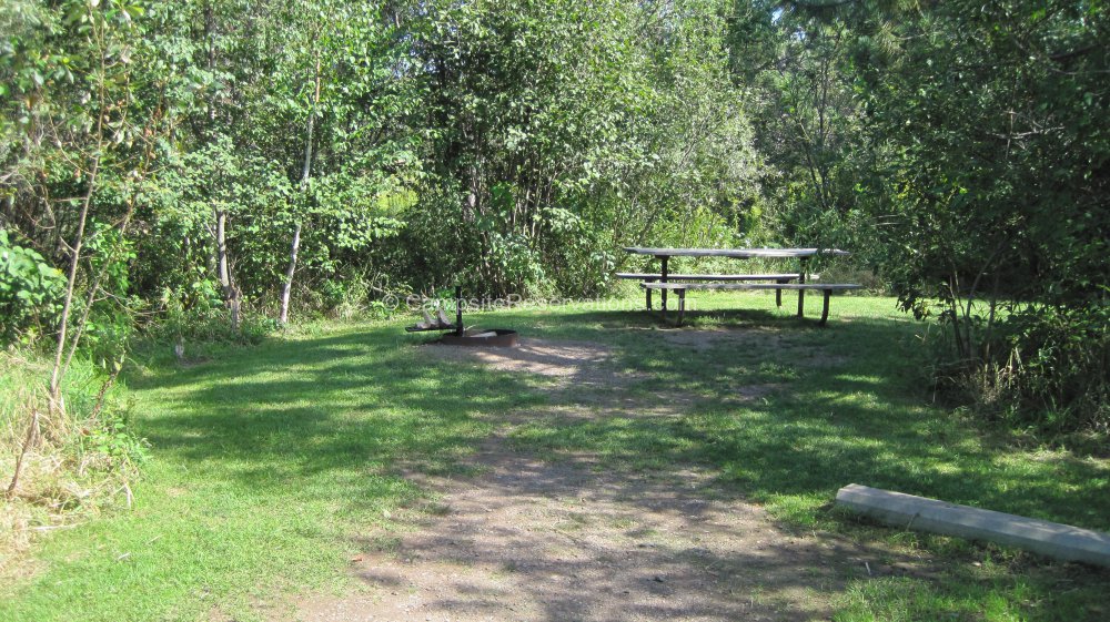 Campsite 20e in Moose Lake State Park Campground at Moose Lake State